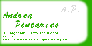 andrea pintarics business card